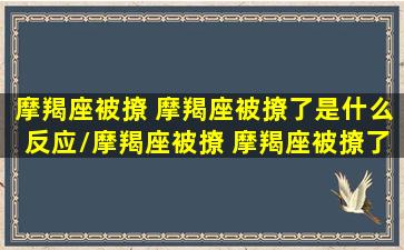 摩羯座被撩 摩羯座被撩了是什么反应/摩羯座被撩 摩羯座被撩了是什么反应-我的网站